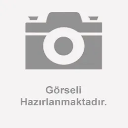 BENZİN POMPASI (RZ250-S)