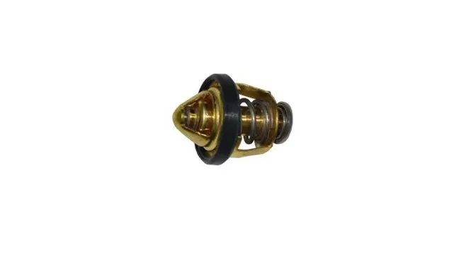 TERMOSTAT (VIESTE249)