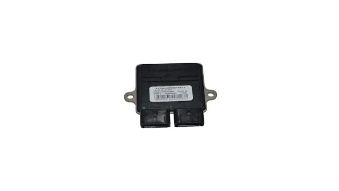 BEYİN (RANGMAO) (DARKBLUE125)