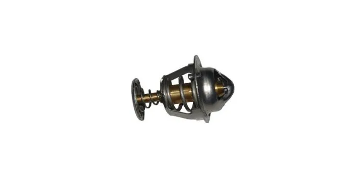 TERMOSTAT (M502N)